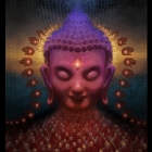 burmese_step_v4_web